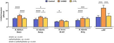 HMO-primed bifidobacteria exhibit enhanced ability to adhere to intestinal epithelial cells